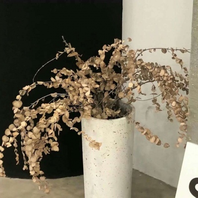 镇海FurryQQ群介绍